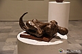 VBS_5781 - 180.ma Esposizione Arti Figurative